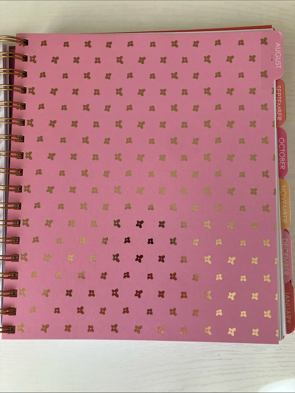 The Creative Expert 17 Month Planner -  August 2026 - December 2027 (NWT)